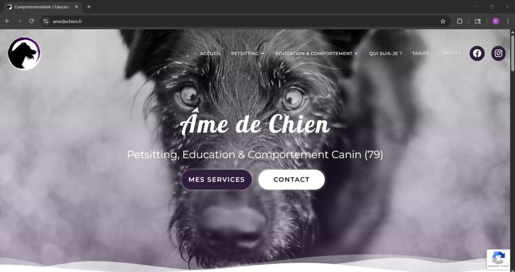 Page d’accueil du site client Mallory, design web Popikod